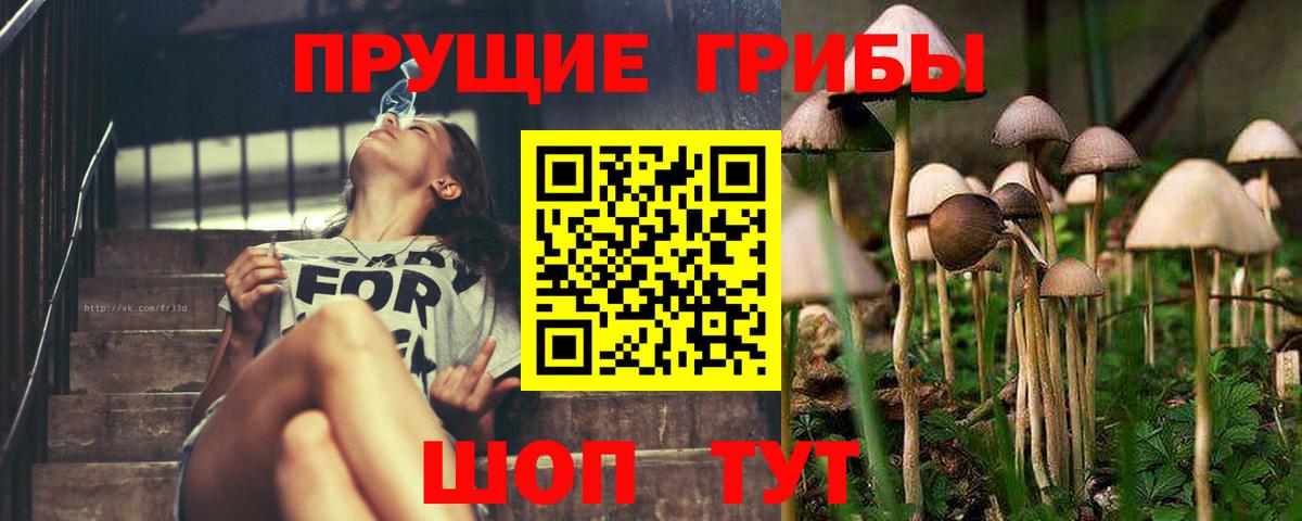 Псилоцибиновые грибы Psilocybine cubensis  Вход с VPN  Галлюциногенные грибы Magic Shrooms  Тула 