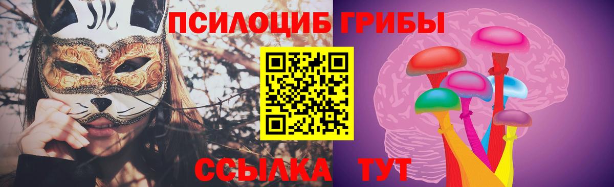 Псилоцибиновые грибы прущие грибы Тула